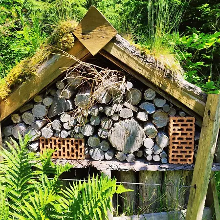 Chalet Les Cimes Blanches Cledicihome 10 Pers Spa&grand Terrain 4 Minutes Des Pistes