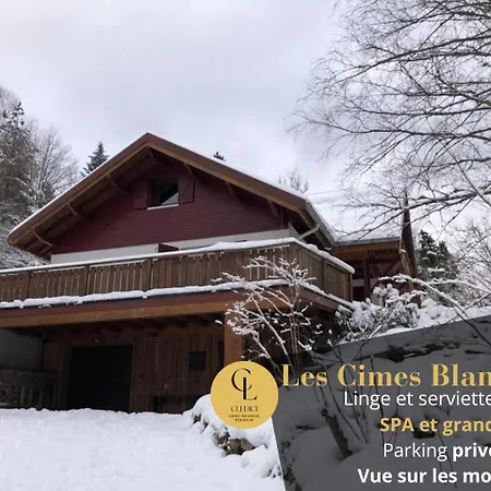 Les Cimes Blanches Cledicihome 10 Pers & Grand Terrain 4 Minutes Des Pistes