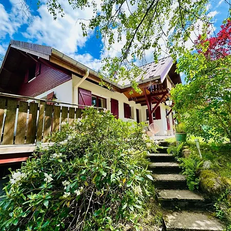 Les Cimes Blanches Cledicihome 10 Pers Spa&grand Terrain 4 Minutes Des Pistes * La Bresse