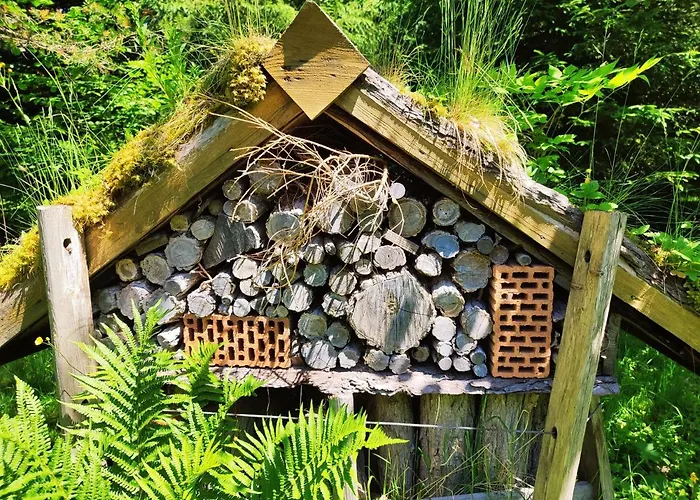 Domek alpejski Les Cimes Blanches Cledicihome 10 Pers & Grand Terrain 4 Minutes Des Pistes