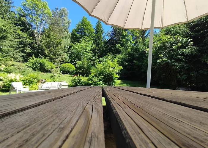 Les Cimes Blanches Cledicihome 10 Pers Spa&grand Terrain 4 Minutes Des Pistes * La Bresse